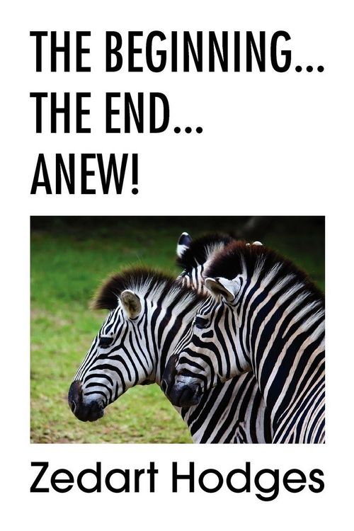 Produktbild: The Beginning... the End... Anew!