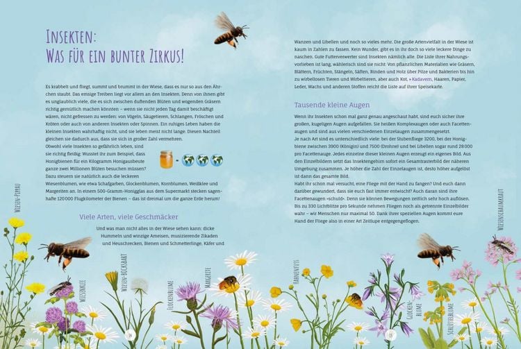 Produktbild: Die Wildwiese