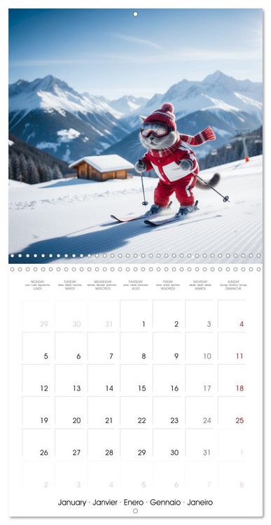 Produktbild: Le duc gris en voyage (Calendrier mural carr&eacute; 2026 30x30 cm) Calendrier double avec une page pour vos prises de notes