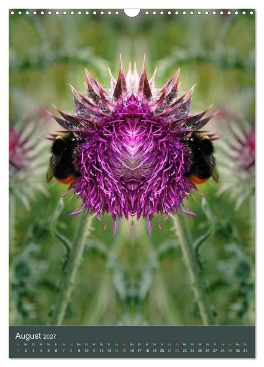 Produktbild: Spiegelwelten - Botschaften der Naturwesen (Wandkalender 2027 DIN A3 hoch), CALVENDO Monatskalender