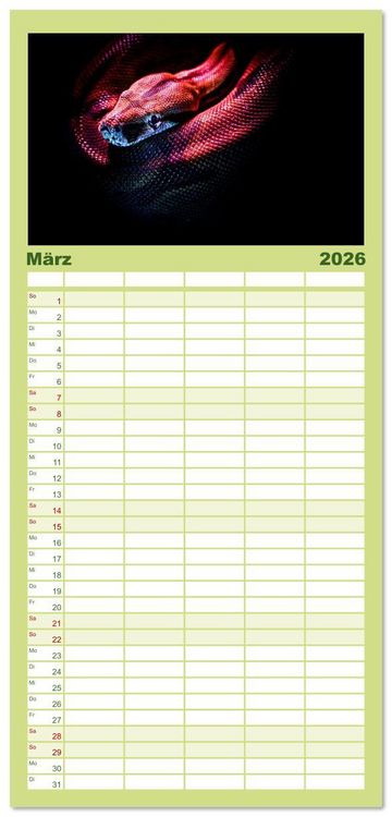 Produktbild: Familienplaner 2026 - Faszination Schlangen mit 5 Spalten (Wandkalender, 21 x 45 cm) CALVENDO