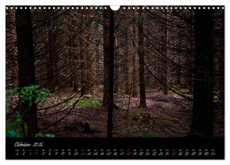 Produktbild: Wald (Wandkalender 2026 DIN A3 quer), CALVENDO Monatskalender
