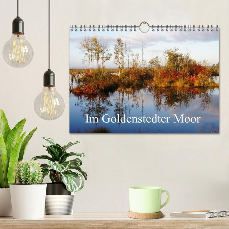 Produktbild: Im Goldenstedter Moor (Wandkalender 2026 DIN A4 quer), CALVENDO Monatskalender