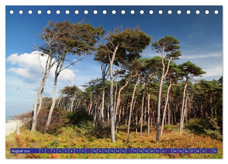 Produktbild: Weststrand Dar&szlig; (Tischkalender 2026 DIN A5 quer), CALVENDO Monatskalender