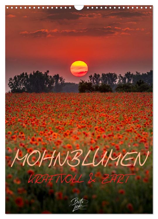 Produktbild: Mohnblumen - kraftvoll und zart (Wandkalender 2026 DIN A3 hoch), CALVENDO Monatskalender