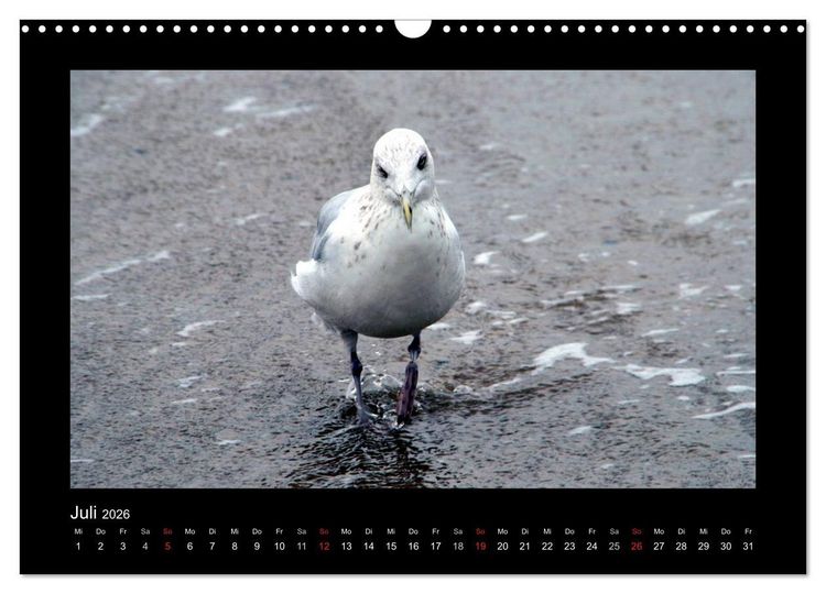 Produktbild: An der Nordsee (Wandkalender 2026 DIN A3 quer), CALVENDO Monatskalender