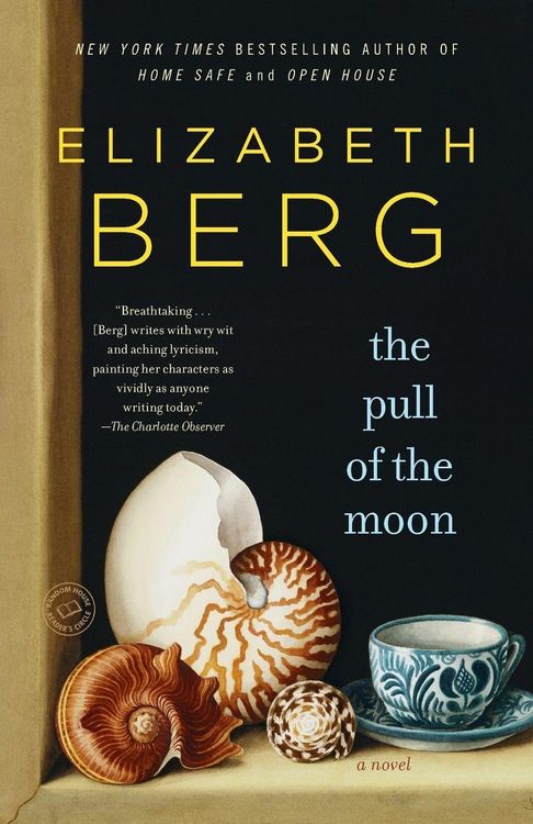 Produktbild: The Pull of the Moon