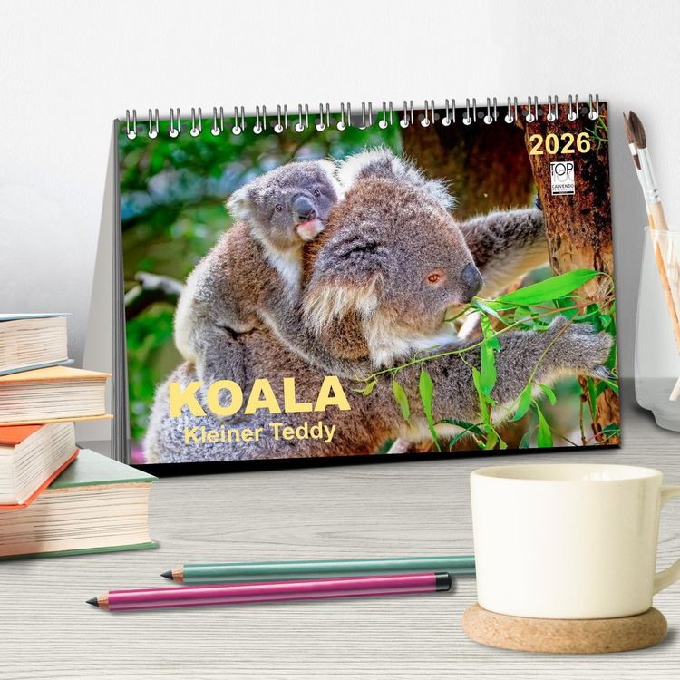 Produktbild: Koala - kleiner Teddy (Tischkalender 2026 DIN A5 quer), CALVENDO Monatskalender
