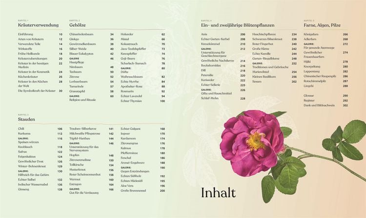 Produktbild: Heilpflanzen
