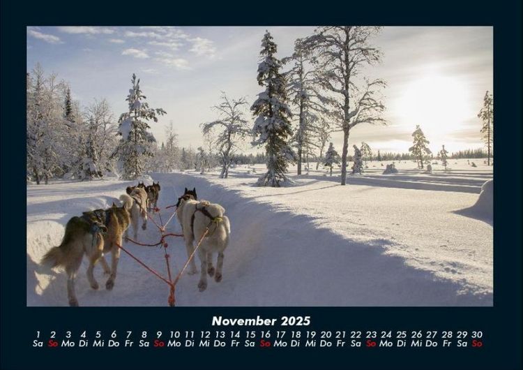 Produktbild: Hundezauber 2025 Fotokalender DIN A4