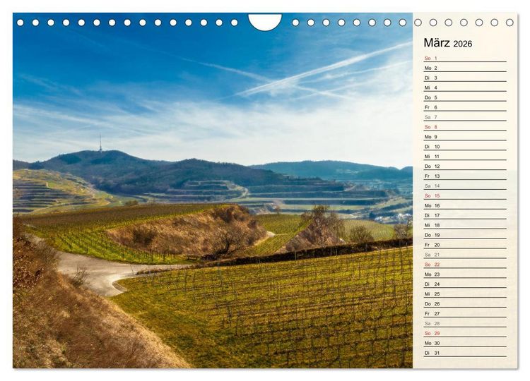 Produktbild: Auf Schusters Rappen... S&uuml;dlicher Oberrhein und S&uuml;dschwarzwald (Wandkalender 2026 DIN A4 quer), CALVENDO Monatskalender
