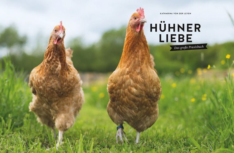 Produktbild: H&uuml;hnerliebe