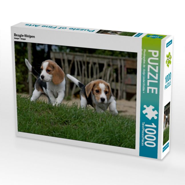 Produktbild: CALVENDO Puzzle Beagle-Welpen | 1000 Teile Lege-Gr&ouml;&szlig;e 64x48cm Foto-Puzzle f&uuml;r gl&uuml;ckliche Stunden