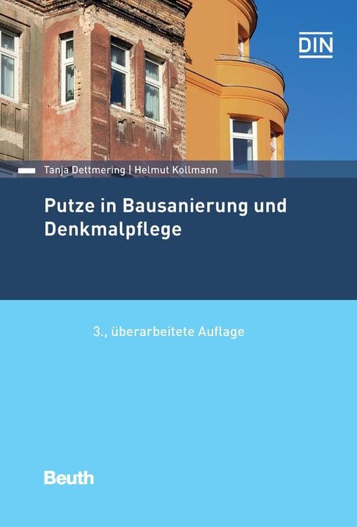 Bild vom Artikel Putze in Bausanierung und Denkmalpflege vom Autor Tanja Dettmering