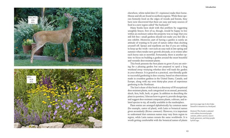 Produktbild: 50 Beautiful Deer-Resistant Plants