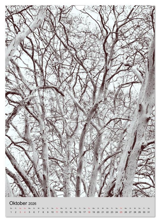 Produktbild: Natur monochrom Die besondere Wirkung (Wandkalender 2026 DIN A3 hoch), CALVENDO Monatskalender