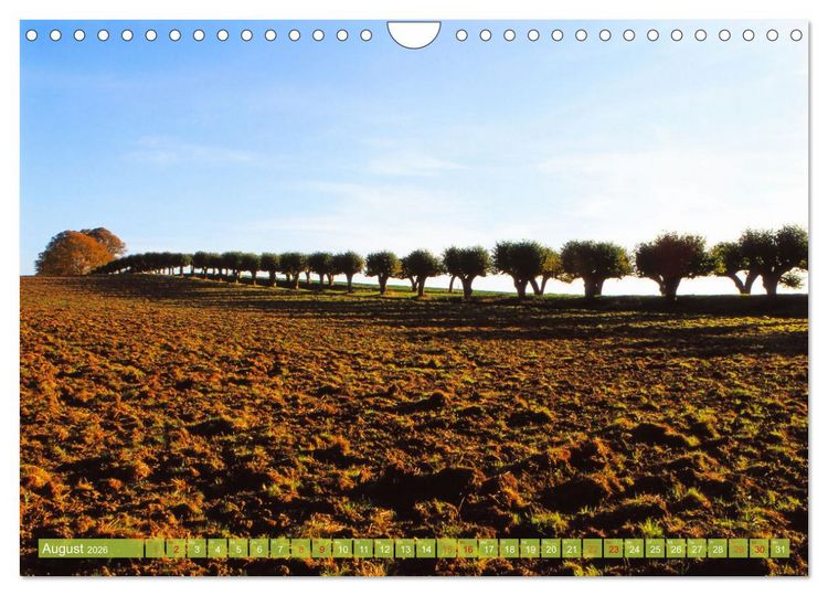 Produktbild: Landwirtschaft Natur pur Mecklenburg-Vorpommern (Wandkalender 2026 DIN A4 quer), CALVENDO Monatskalender