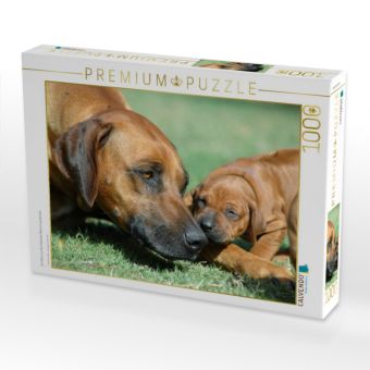Produktbild: CALVENDO Puzzle Ein Motiv aus dem Kalender Kleine L&ouml;wenhunde | 1000 Teile Lege-Gr&ouml;&szlig;e 64x48cm Foto-Puzzle f&uuml;r gl&uuml;ckliche Stunden