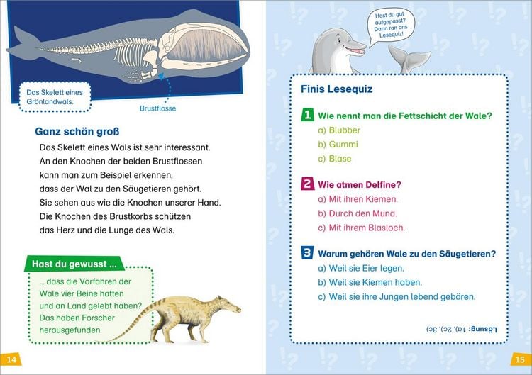 Produktbild: WAS IST WAS Erstes Lesen Band 1. Wale und Delfine