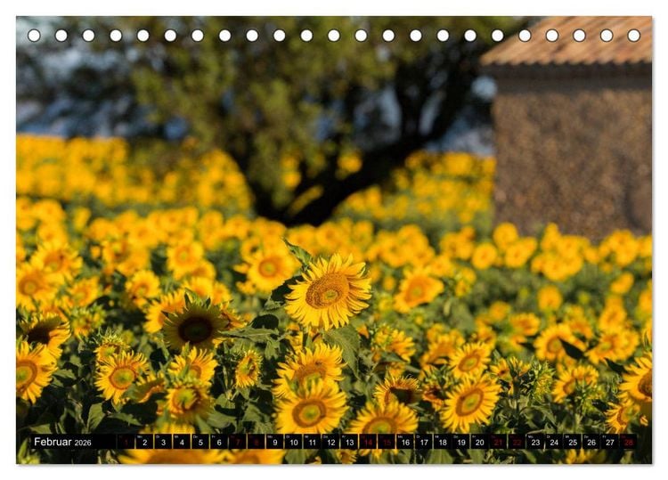 Produktbild: Provence im Rausch der Farben (Tischkalender 2026 DIN A5 quer), CALVENDO Monatskalender