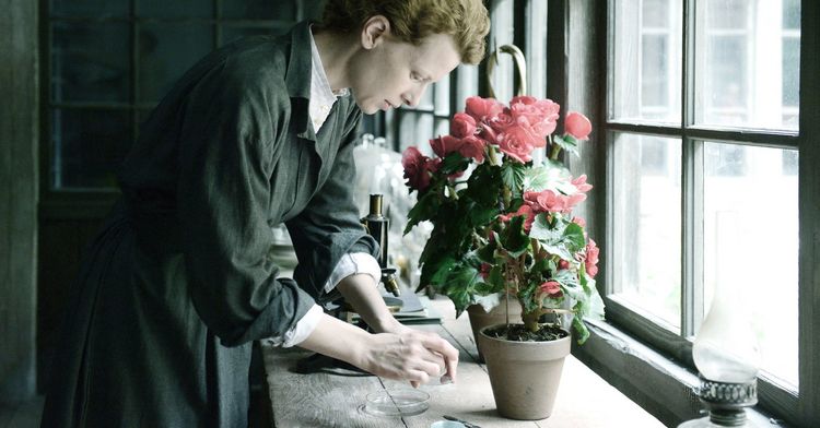 Produktbild: Marie Curie