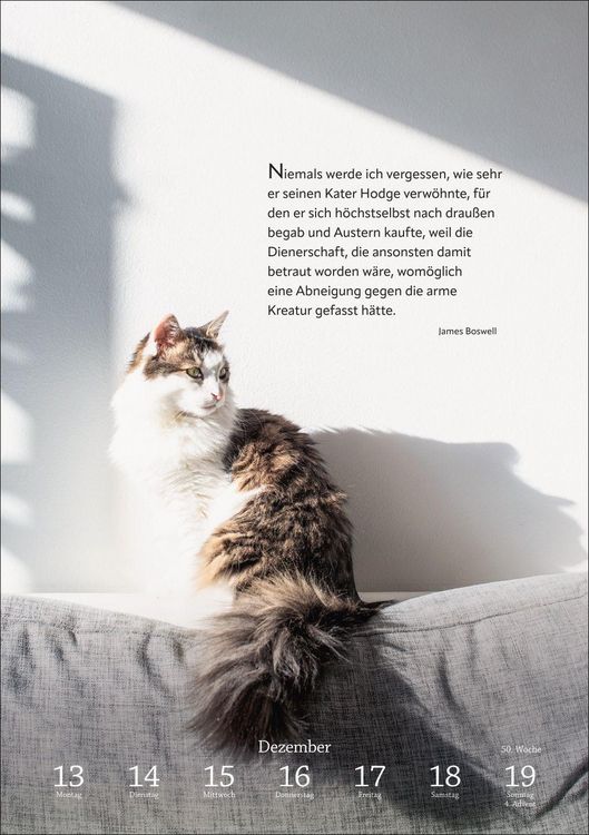 Produktbild: Literaturkalender Katzen Wochen-Kulturkalender 2027