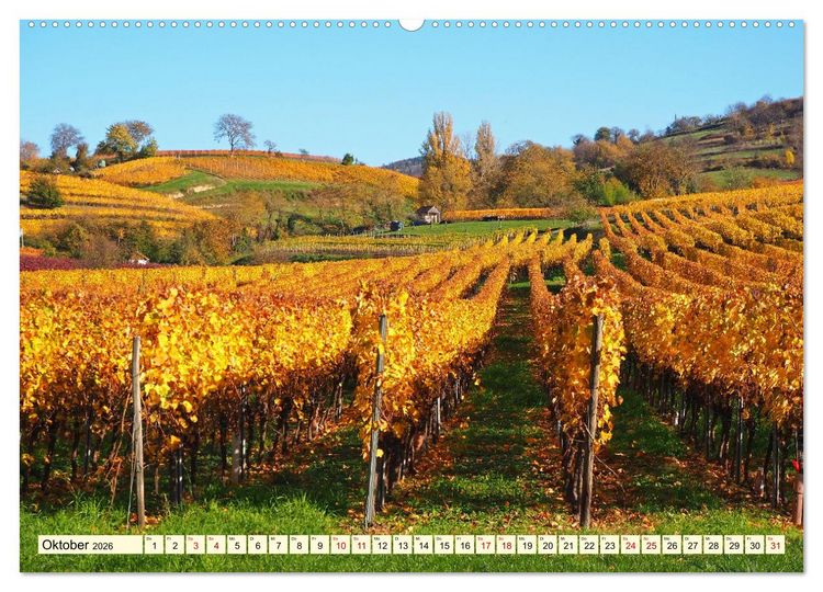 Produktbild: Heppenheim - Weinstadt unter der Starkenburg (hochwertiger Premium Wandkalender 2026 DIN A2 quer), Kunstdruck in Hochglanz
