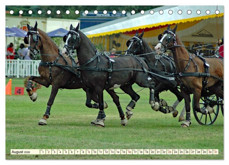 Produktbild: Four-in-hand Driving Challenge (Desk Calendar 2026 DIN A5 landscape), CALVENDO 12 Month DeskCalendar