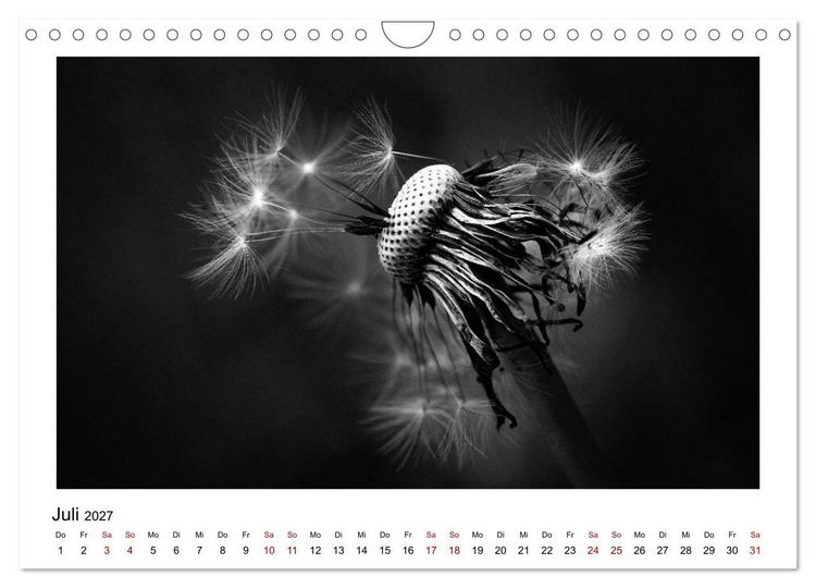 Produktbild: Die grafische Sch&ouml;nheit der Pflanzen &ndash; Schwarz-Wei&szlig; (Wandkalender 2027 DIN A4 quer), CALVENDO Monatskalender