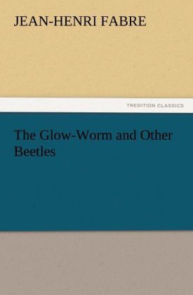 Produktbild: The Glow-Worm and Other Beetles