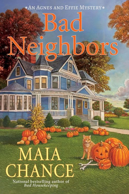 Produktbild: Bad Neighbors