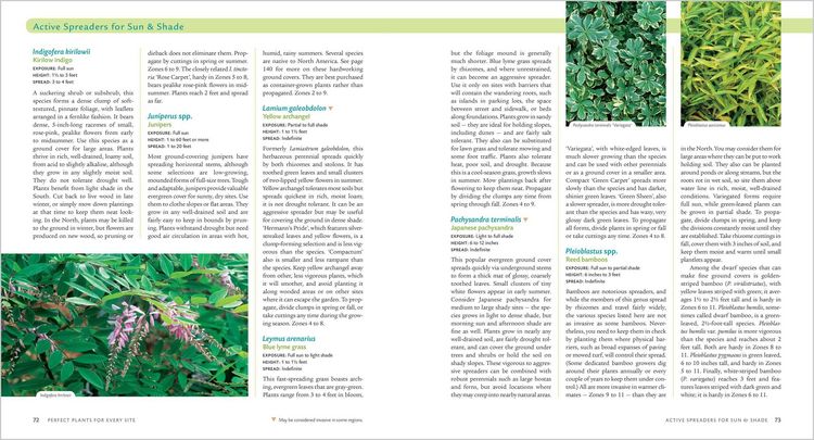 Produktbild: Covering Ground