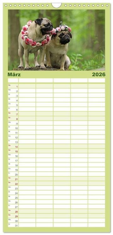 Produktbild: Familienplaner 2026 - Der MOPS-Kalender mit 5 Spalten (Wandkalender, 21 x 45 cm) CALVENDO