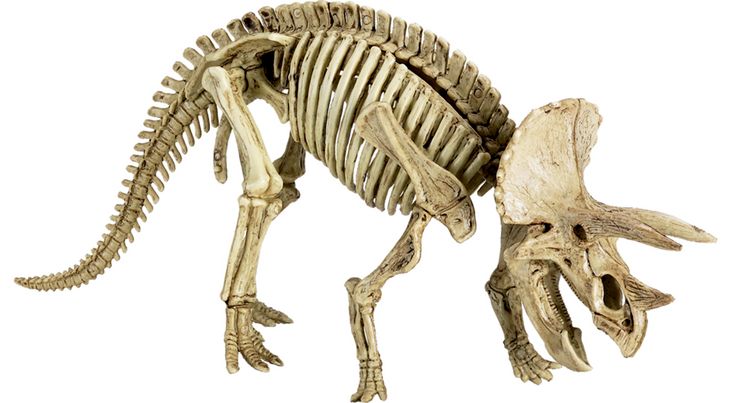 Produktbild: Ausgrabungsset Triceratops - T-Rex World