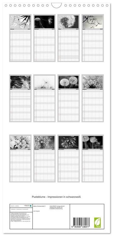 Produktbild: Familienplaner 2027 - Pusteblume - Impressionen in schwarzwei&szlig; mit 5 Spalten (Wandkalender, 21 x 45 cm) CALVENDO