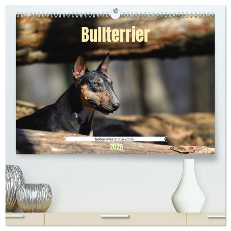 Produktbild: Bullterrier, liebenswerte Sturk&ouml;pfe (hochwertiger Premium Wandkalender 2026 DIN A2 quer), Kunstdruck in Hochglanz