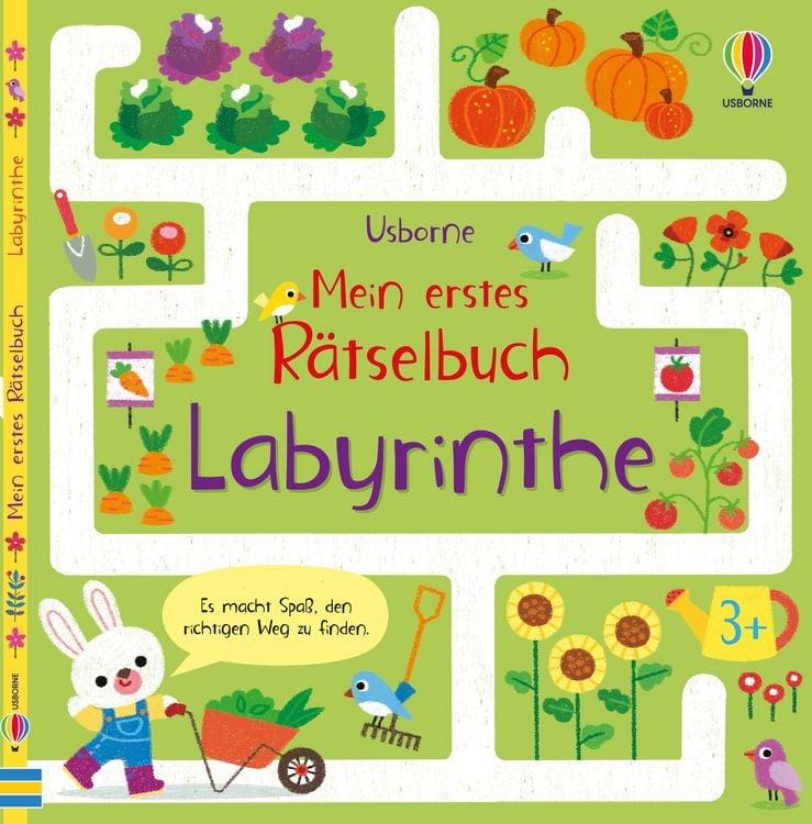 Produktbild: Mein erstes R&auml;tselbuch: Labyrinthe