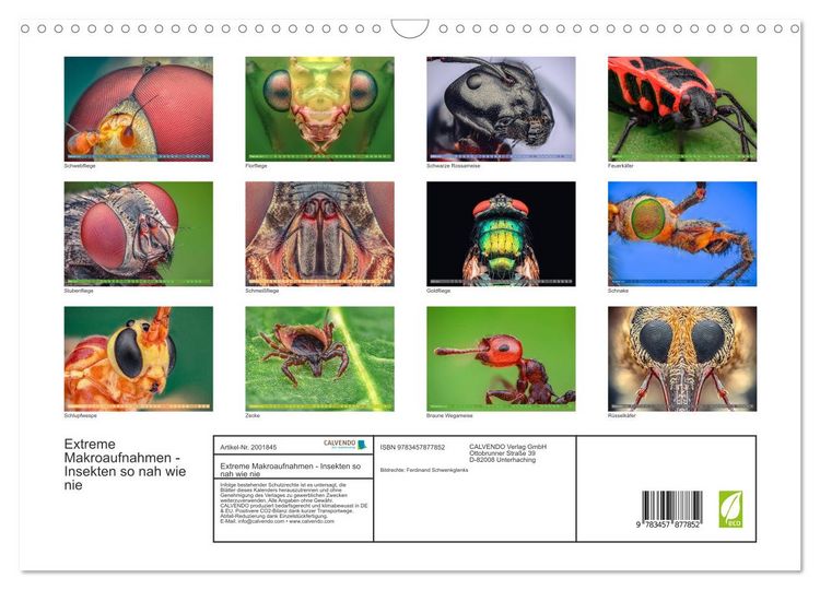 Produktbild: Extreme Makroaufnahmen - Insekten so nah wie nie (Wandkalender 2026 DIN A3 quer), CALVENDO Monatskalender