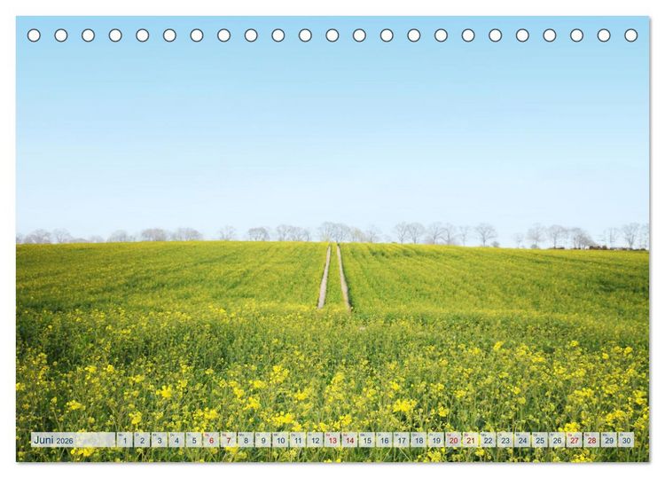 Produktbild: Magisches Ostholstein (Tischkalender 2026 DIN A5 quer), CALVENDO Monatskalender