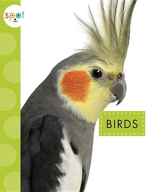 Produktbild: Birds