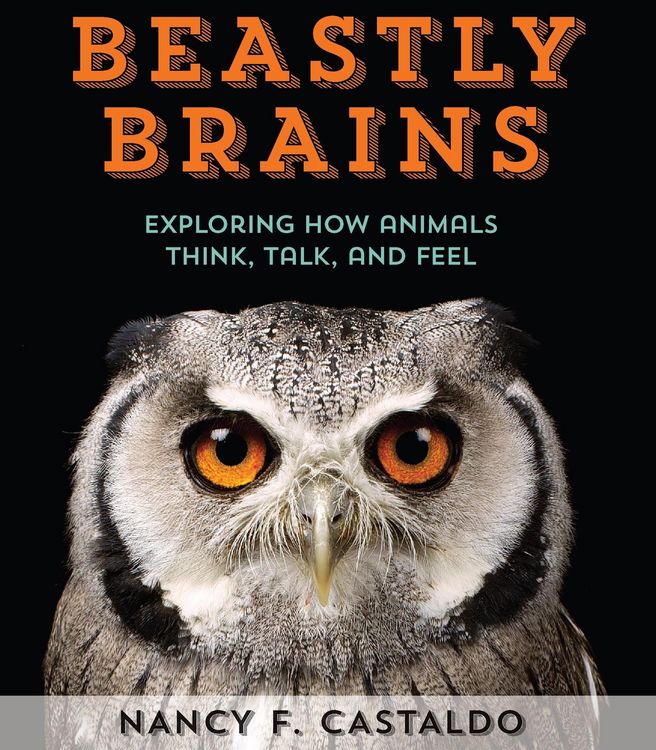 Produktbild: Beastly Brains
