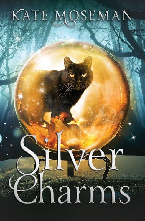 Produktbild: Silver Charms
