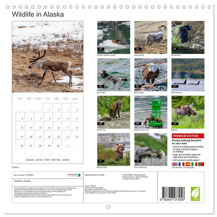 Produktbild: Wildlife in Alaska (Wall Calendar 2026 12 &times; 12 Inch) CALVENDO 12 Month Wall Calendar