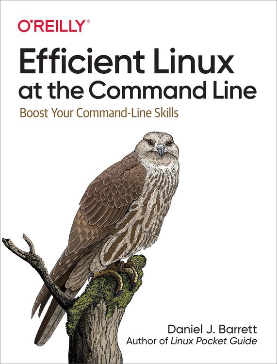 Produktbild: Efficient Linux at the Command Line