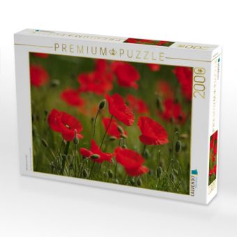 Produktbild: CALVENDO Puzzle Mohnblumen im Feld | 2000 Teile Lege-Gr&ouml;&szlig;e 90x67cm Foto-Puzzle f&uuml;r gl&uuml;ckliche Stunden