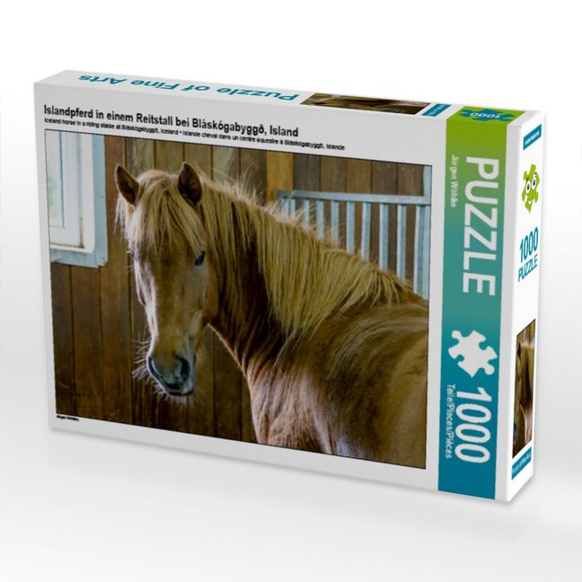Produktbild: CALVENDO Puzzle Islandpferd in einem Reitstall bei Bl&aacute;sk&oacute;gabygg&eth;, Island | 1000 Teile Lege-Gr&ouml;&szlig;e 64x48cm Foto-Puzzle f&uuml;r gl&uuml;ckliche Stunden