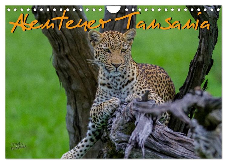 Produktbild: Abenteuer Tansania, Afrika (Wandkalender 2026 DIN A4 quer), CALVENDO Monatskalender