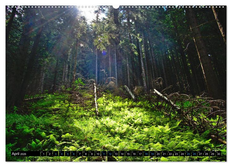 Produktbild: Slowakei - Abseits der Hohen Tatra (Wandkalender 2026 DIN A2 quer), CALVENDO Monatskalender