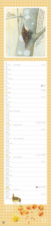 Produktbild: Marjolein Bastin: Die bunte Vogelwelt Langplaner 2027