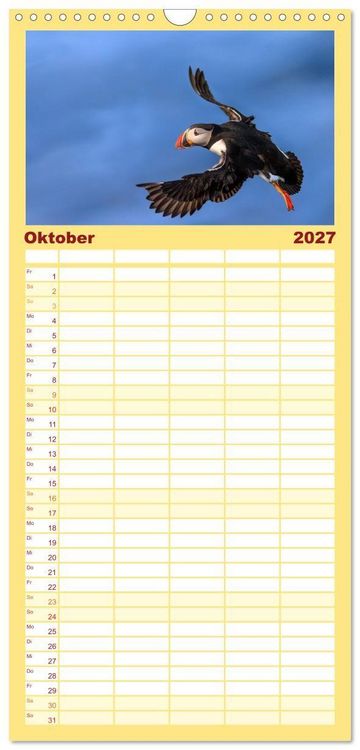 Produktbild: Familienplaner 2027 - Puffins - Papageientaucher auf Island mit 5 Spalten (Wandkalender, 21 x 45 cm) CALVENDO